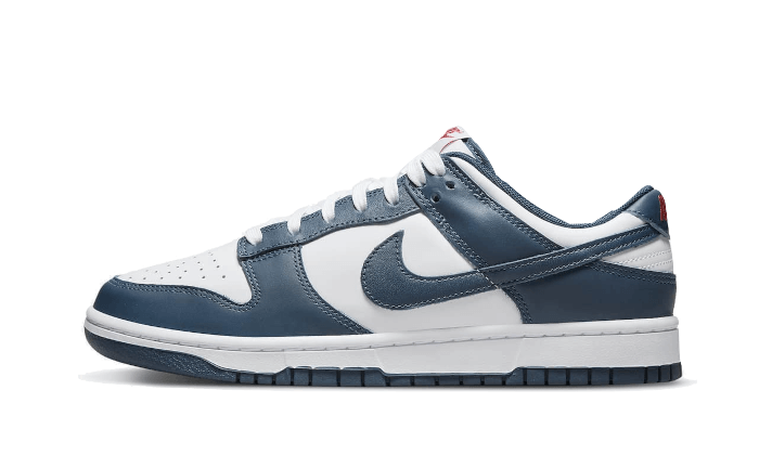 Nike Dunk Low Valerian Blue-sneakers-Nike-pikastore.cz