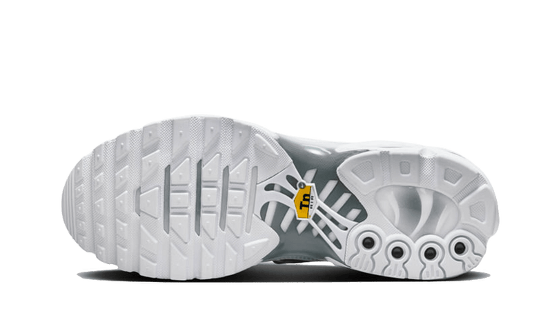 Nike Air Max Plus White Metallic Silver (Women's)-sneakers-Nike-pikastore.cz
