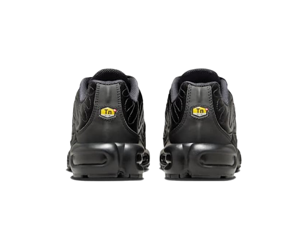 Nike Air Max Plus Black Anthracite Sail (Women's)-sneakers-Nike-pikastore.cz