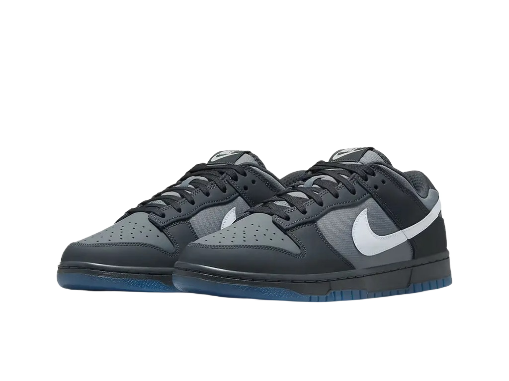 Nike Dunk Low Anthracite-Nike-pikastore.cz