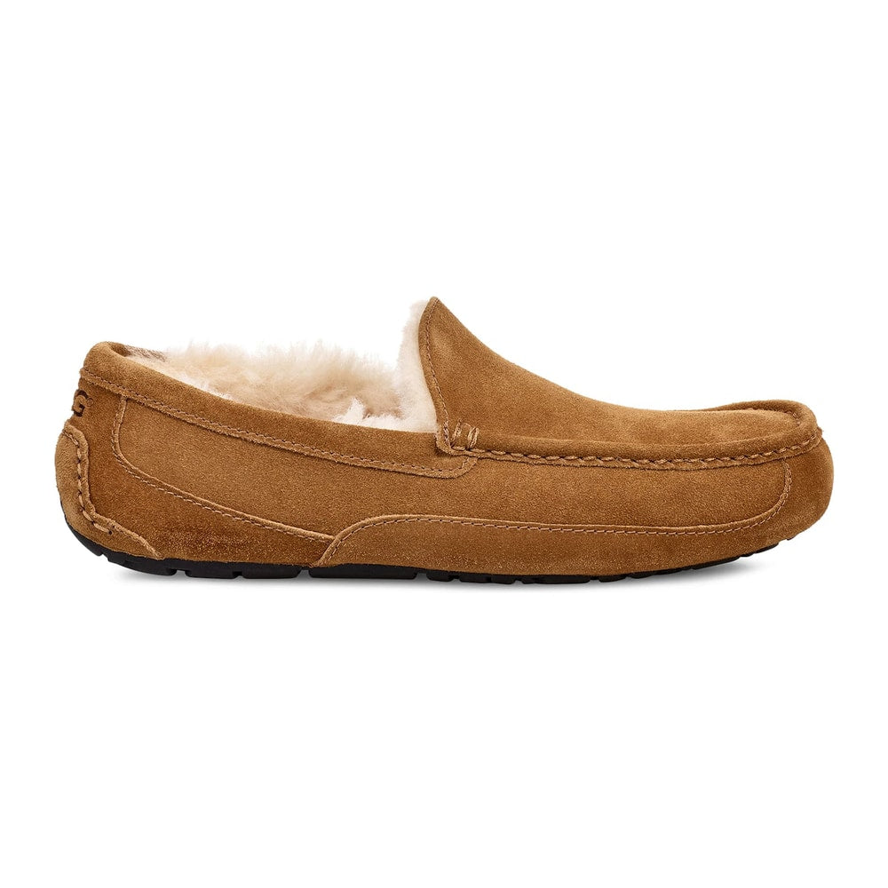 UGG Ascot Slipper Chestnut – tenisky, oranžová