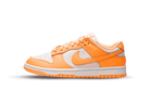 Nike Dunk Low Peach Cream (Women's)-sneakers-Nike-pikastore.cz