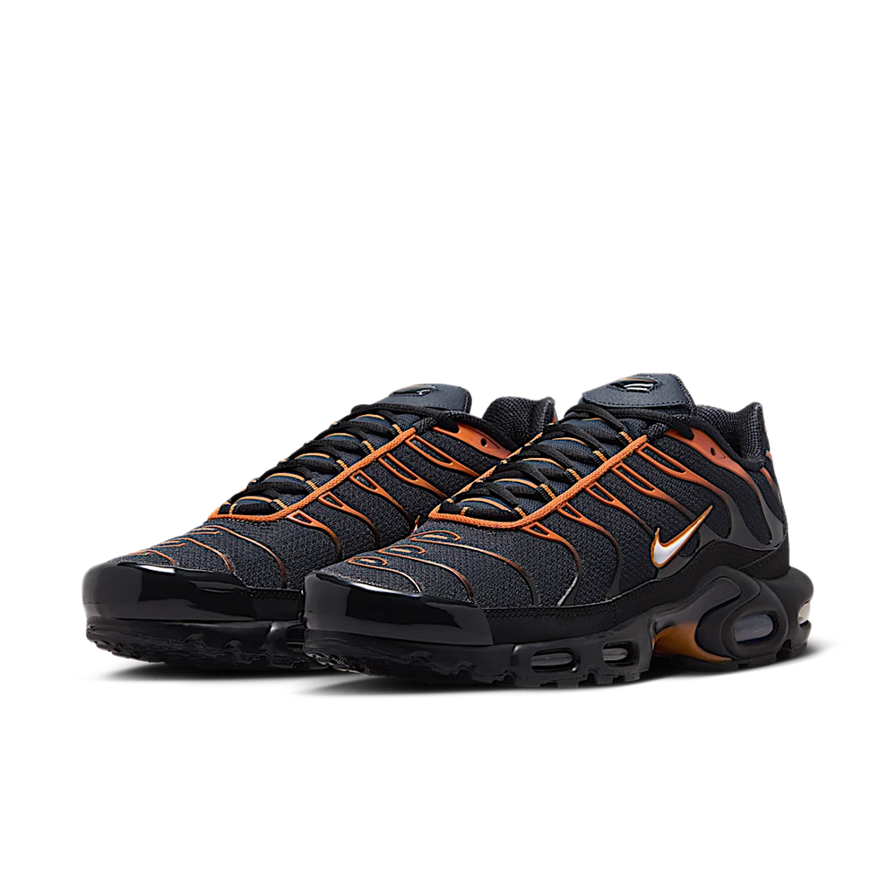Nike Air Max Plus Dark Obsidian Monarch-Nike-pikastore.cz