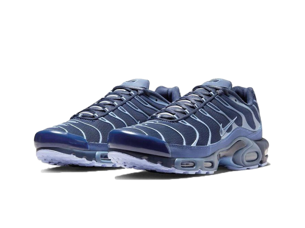 Nike Air Max Plus Obsidian Aluminum-Nike-pikastore.cz