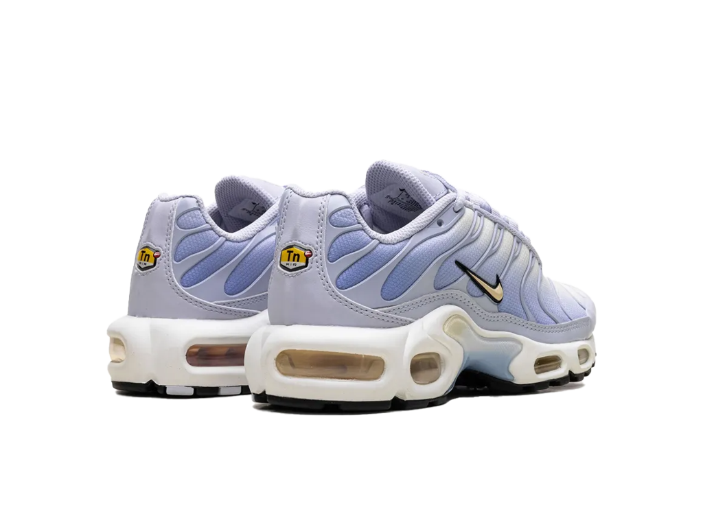 Nike Wmns Air Max Plus Daybreak-Nike-pikastore.cz