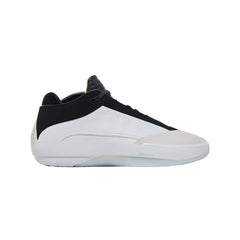 Air Jordan 40 The Classic